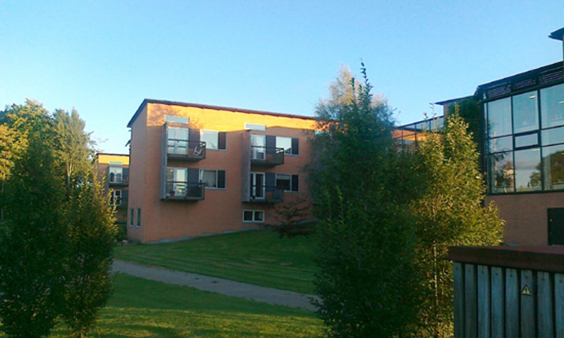 Billede af Engparkens bagside Billede af Engparkens bagside